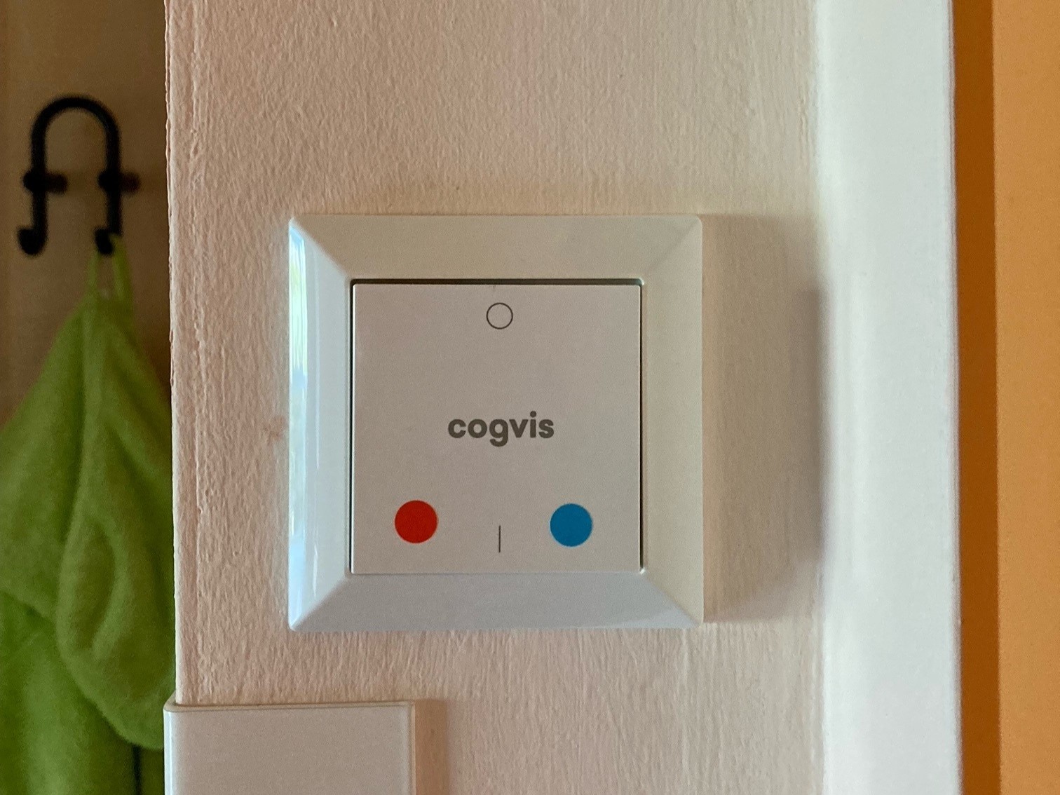 DigiCare4CE Pilot Action in Austria – Lower Austria (NOELGA project partner)